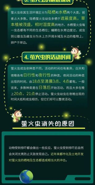 螢火蟲(chóng)的生活習(xí)性(冬天它們都去哪里了)