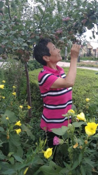 表達在農(nóng)村生活的說說(田園牧歌還是自給自足)